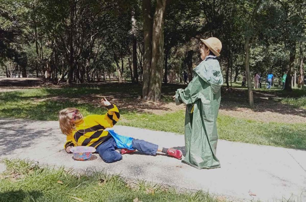 Arte, cosmos y bichitos: así será el curso de verano del Museo Tamayo 1