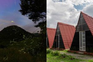 Dormí en medio del bosque en Tlaxcala para ver luciérnagas