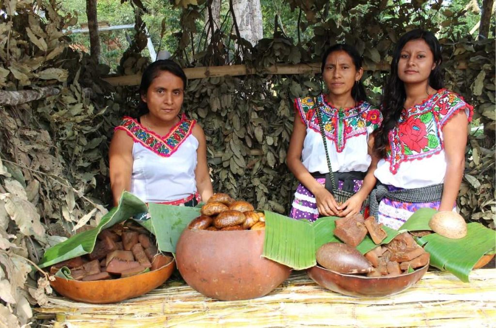 Feria del Mole y Gastronomía Indígena 2025 ¡Puro mole y tradición en San Jerónimo! 0