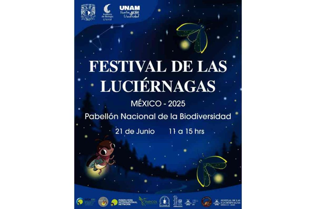 Vive el Festival de Luciérnagas en el Pabellón de la Biodiversidad de la UNAM
