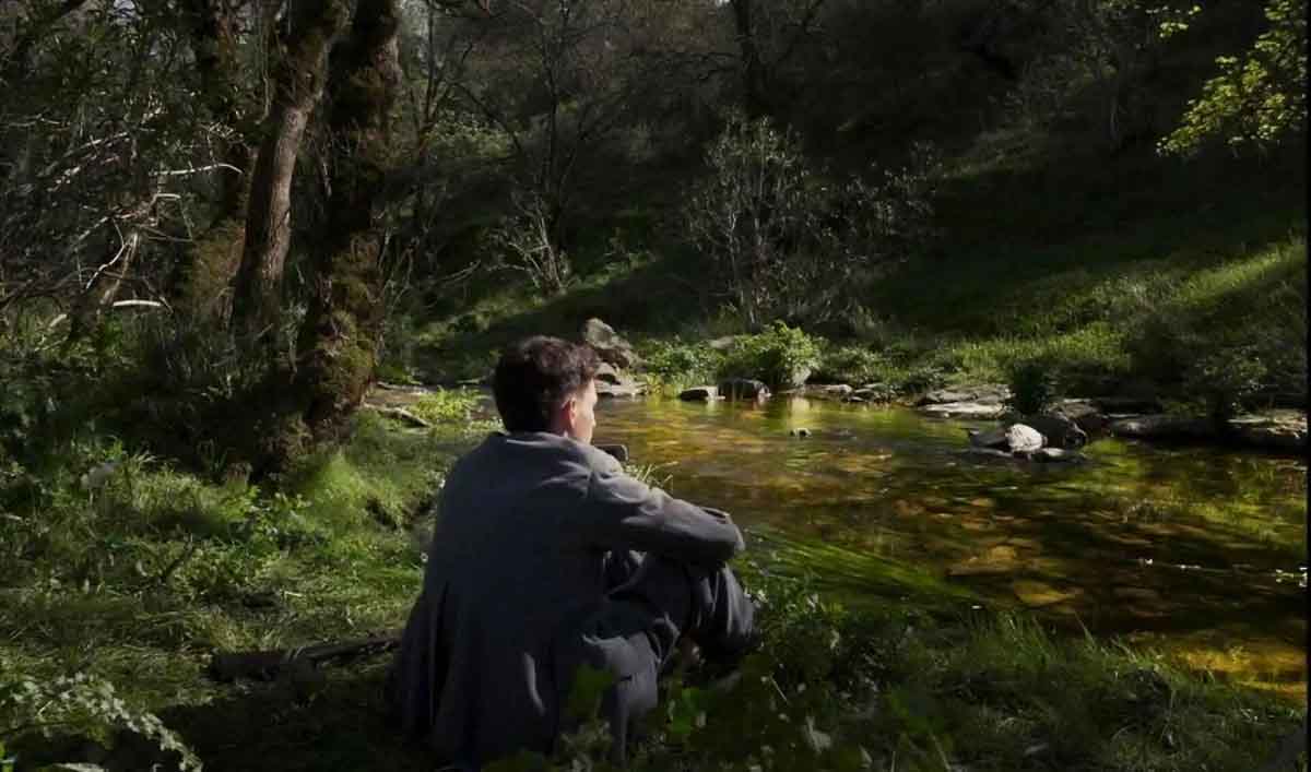 fogo-vento-cineteca-