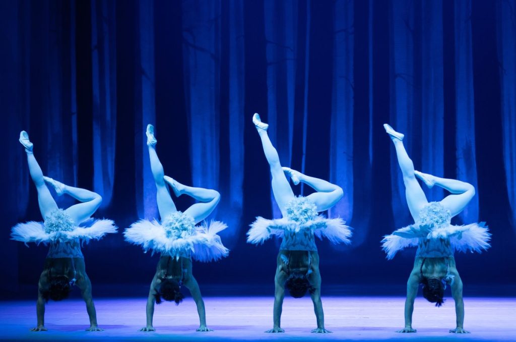 ¿Ballet circense? El Lago de los Cisnes Acrobático se presentará en México 1