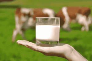 ¿Qué leche estás tomando? Profeco revela las marcas que sí cumplen