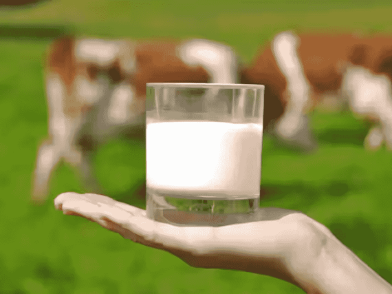 ¿Qué leche estás tomando? Profeco revela las marcas que sí cumplen
