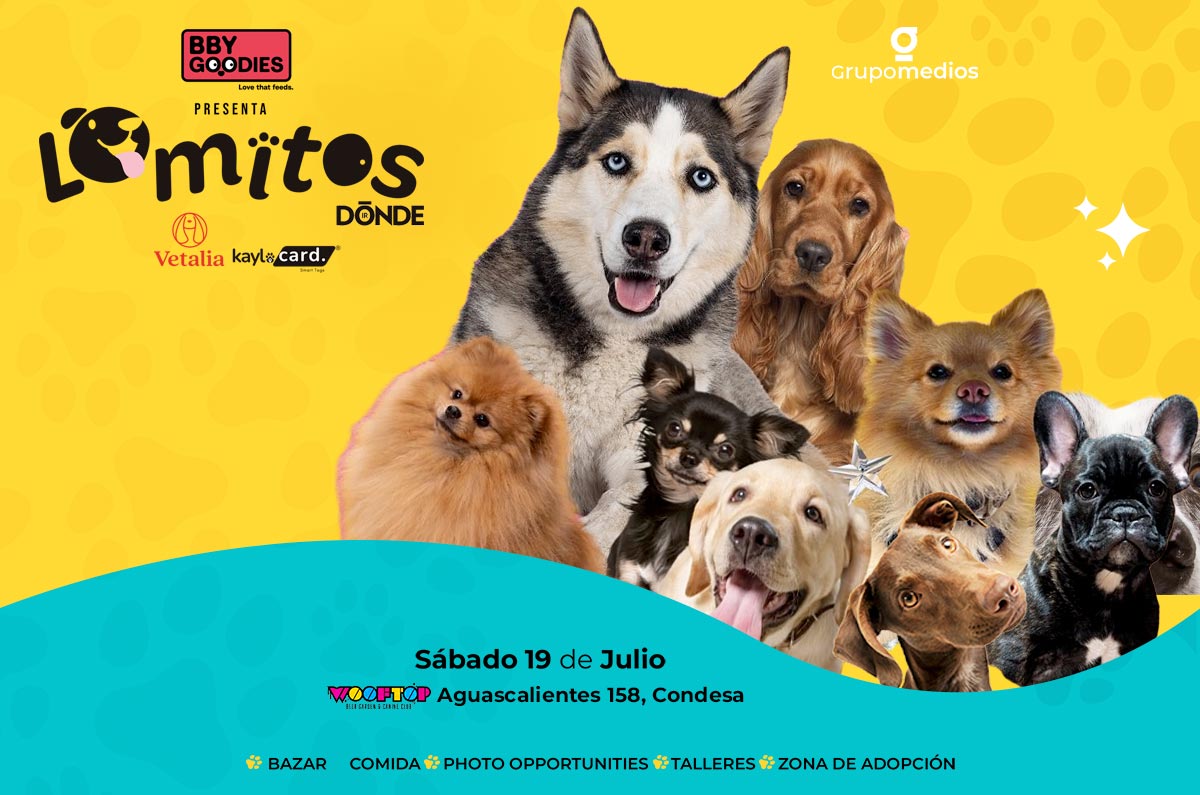 Lomitos Dónde Ir: evento de perritos gratis en la Condesa: fotos, comida y adopciones