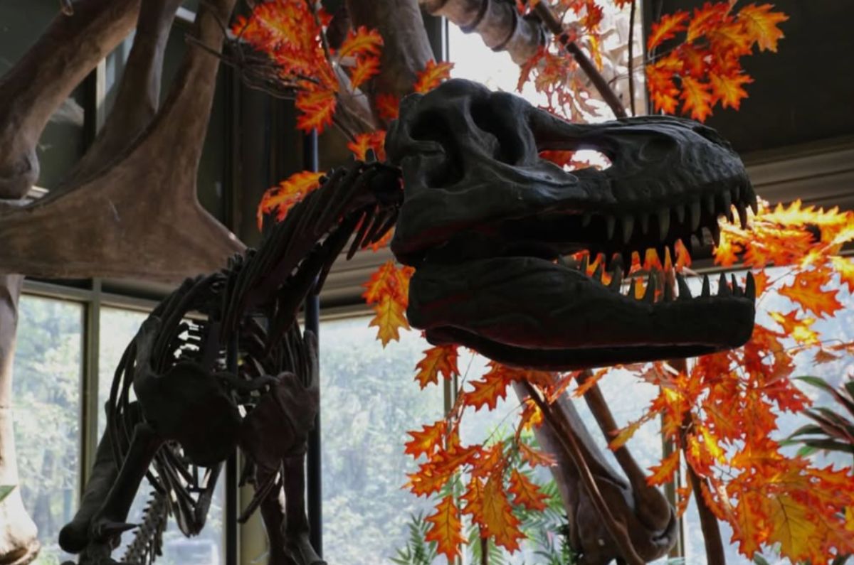 Dinosaurium una actividad más dentro del Zoológico de Chapultepec
