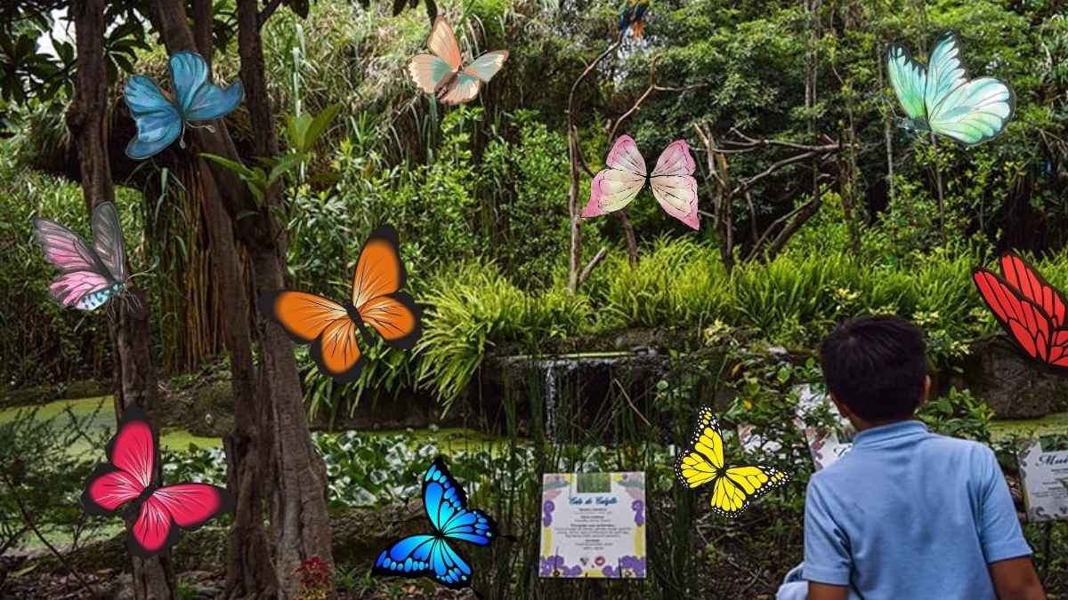 mariposario-de-chapultepec-3