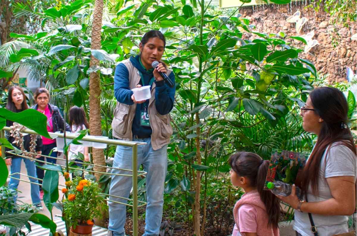Charla sobre los artropodos y mariposas por ZooAventuras