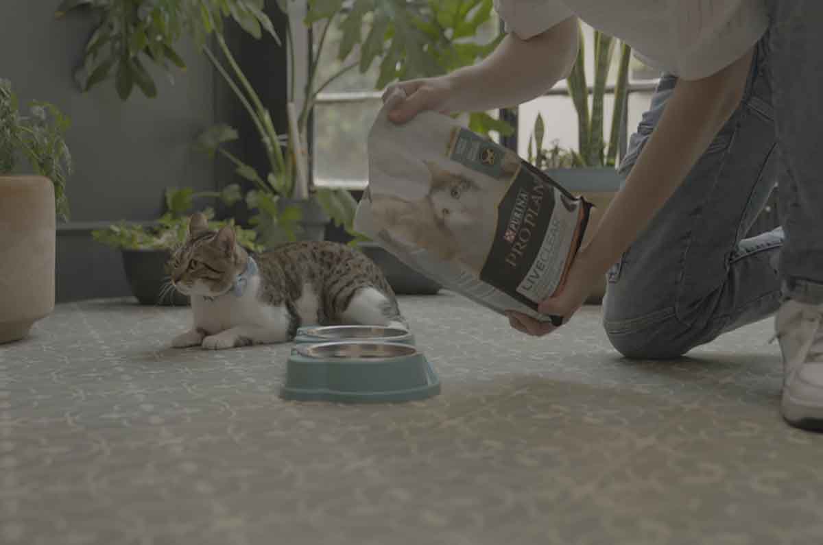 ¡Recicla y Gana! Purina y Ecolana te premian por cuidar el planeta