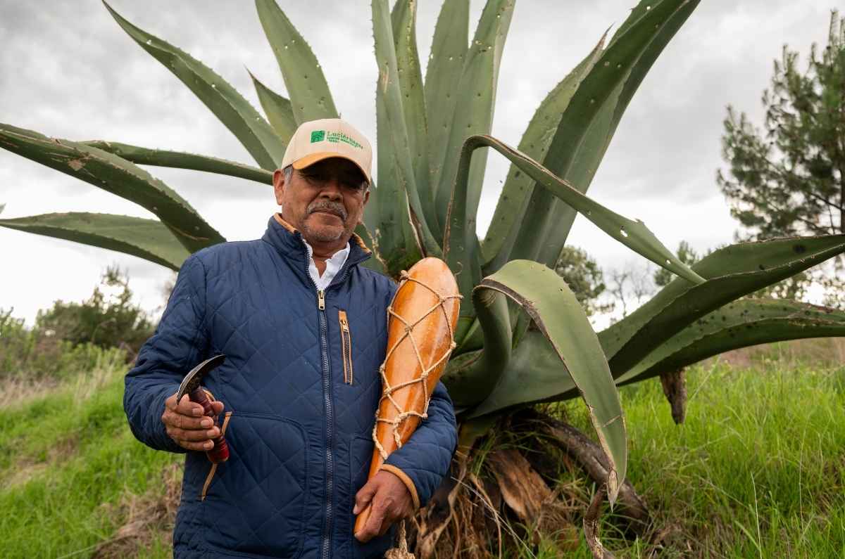 Foto: Danto Solano