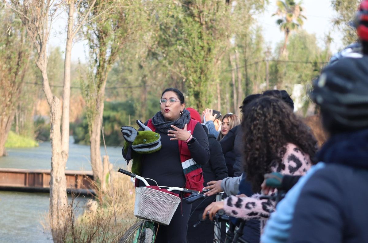 Fotos: Secretaría de Medio Ambiente CDMX 