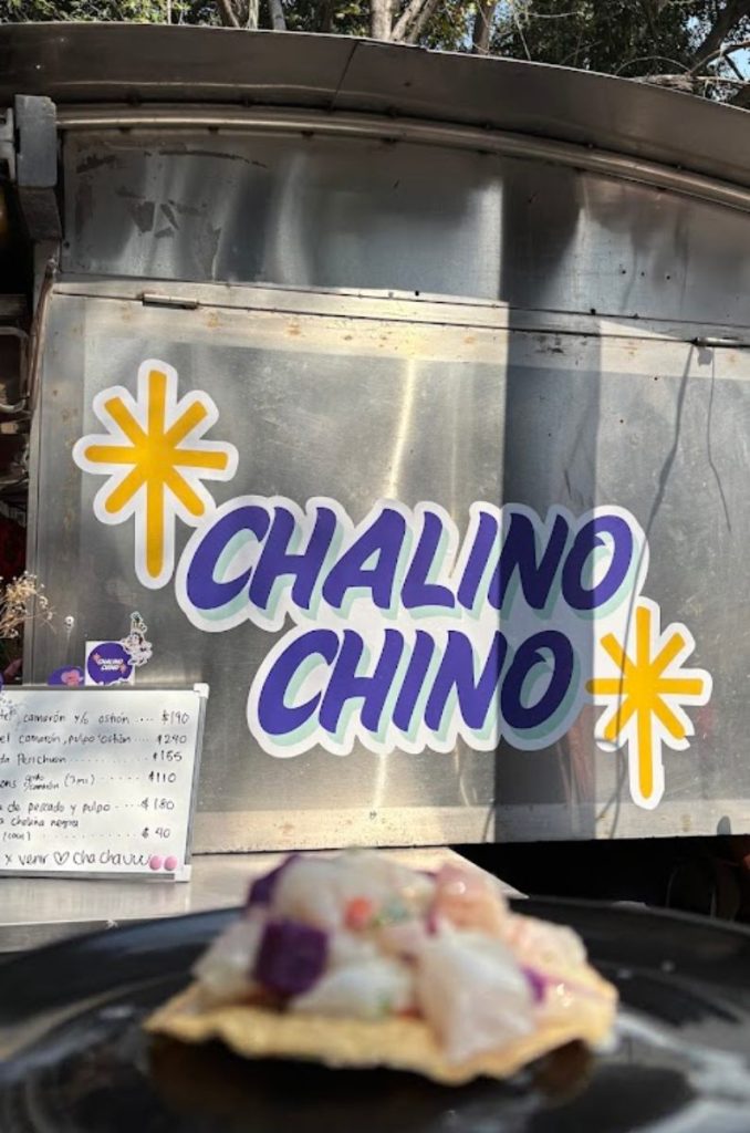 ¿Qué esperar de Chalino Chino en la Roma?