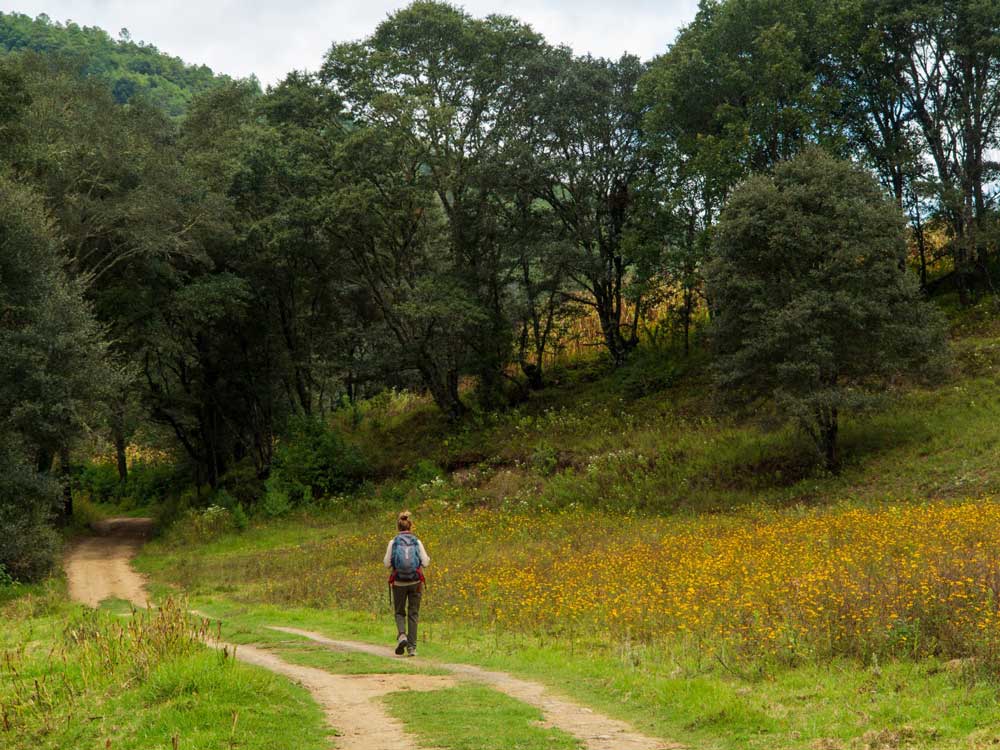 Rutas de senderismo para recorrer en primavera y verano