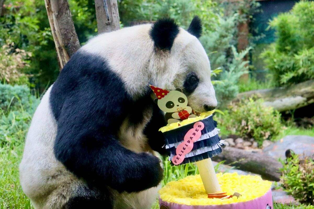 Fotos: Secretaría del Medio Ambiente CDMX 
