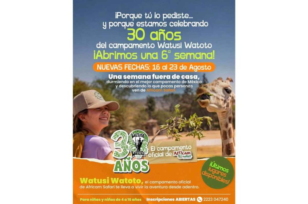 Watusi Watoto: campamento de verano en Africam Safari