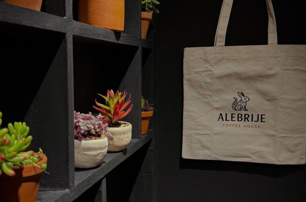 ¿Qué más encontrar en Alebrije Coffee House?