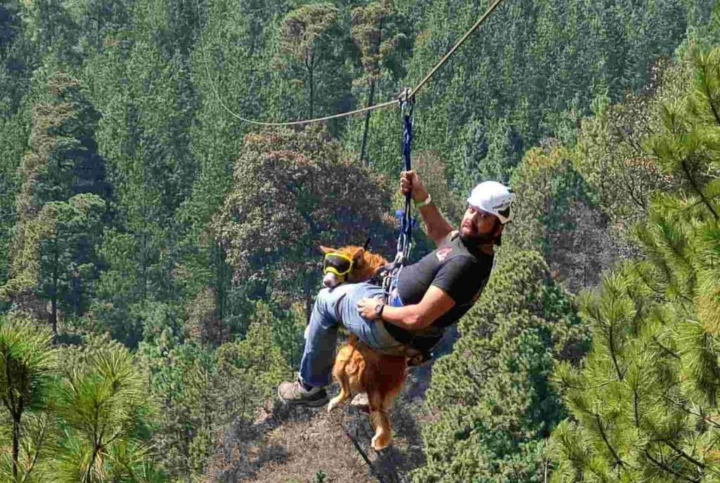 Alpinia es el laberinto más grande de México