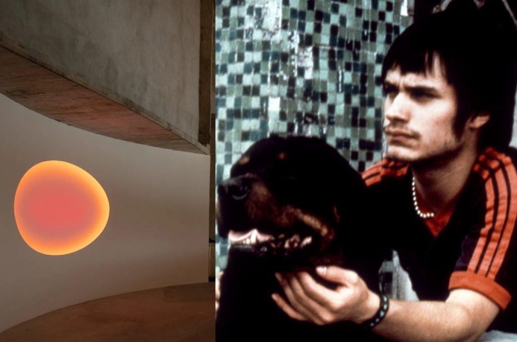 Amores Perros Sueño Perro exposición interactiva en LagoAlgo del Bosque de Chapultepec CDMX