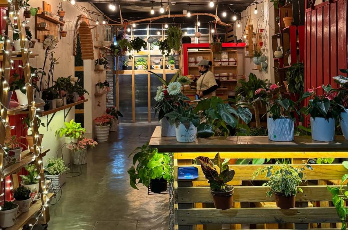 Así es Invernadero Café: entre flores, café y buena vibra en Ecatepec