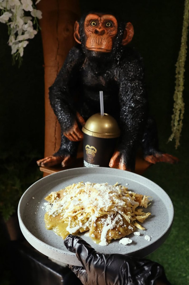 cafeteria-tematica-de-la-selva-en-la-cuauhtemoc-asi-es-coffe-king-3