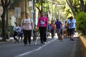 Realizarán Caminata Canina gratuita en CDMX; así puedes participar