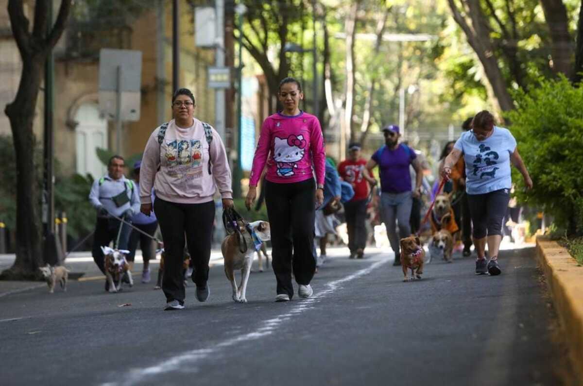 Realizarán Caminata Canina gratuita en CDMX; así puedes participar