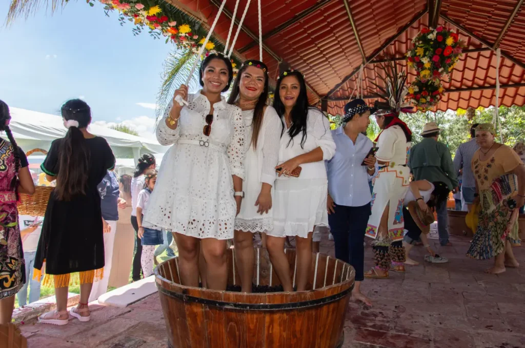 Festeja la 12va Vendimia en Viñedos Los Rosales 2