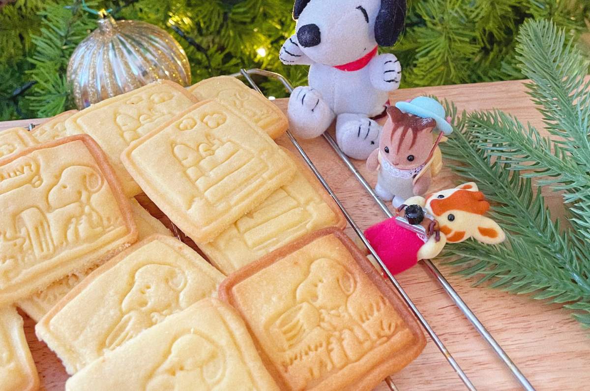 creposphera-crepas-alfajores-y-mas-postres-de-snoopy-en-ixtapaluca-5