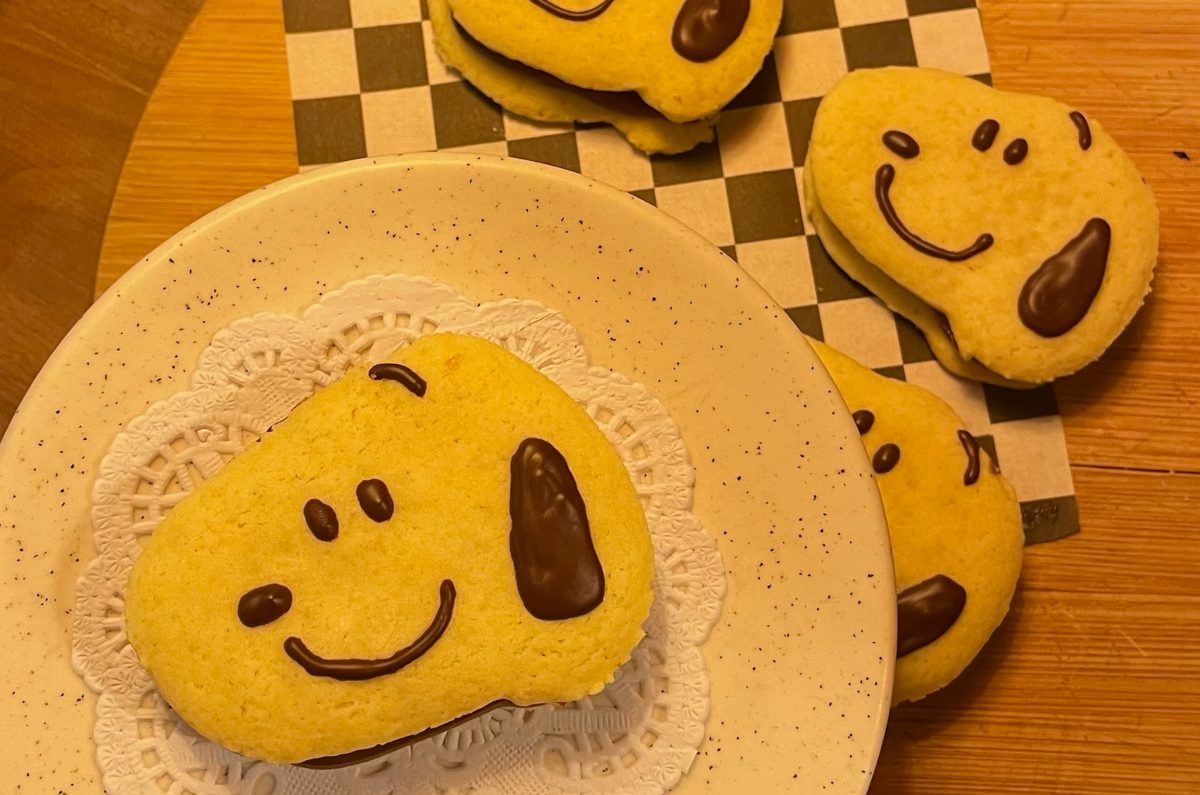 creposphera-crepas-alfajores-y-mas-postres-de-snoopy-en-ixtapaluca-6
