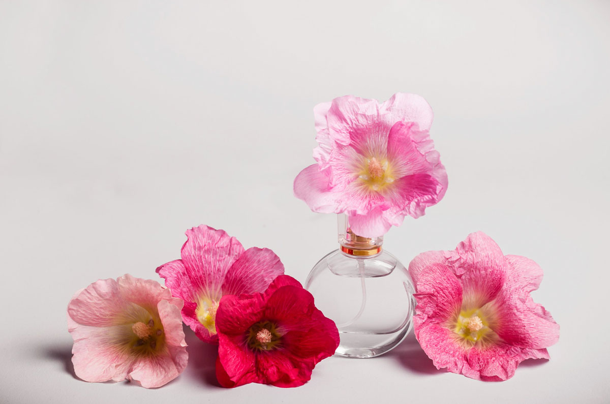 ¿Cuáles son los perfumes más recomendables para ir a la playa?