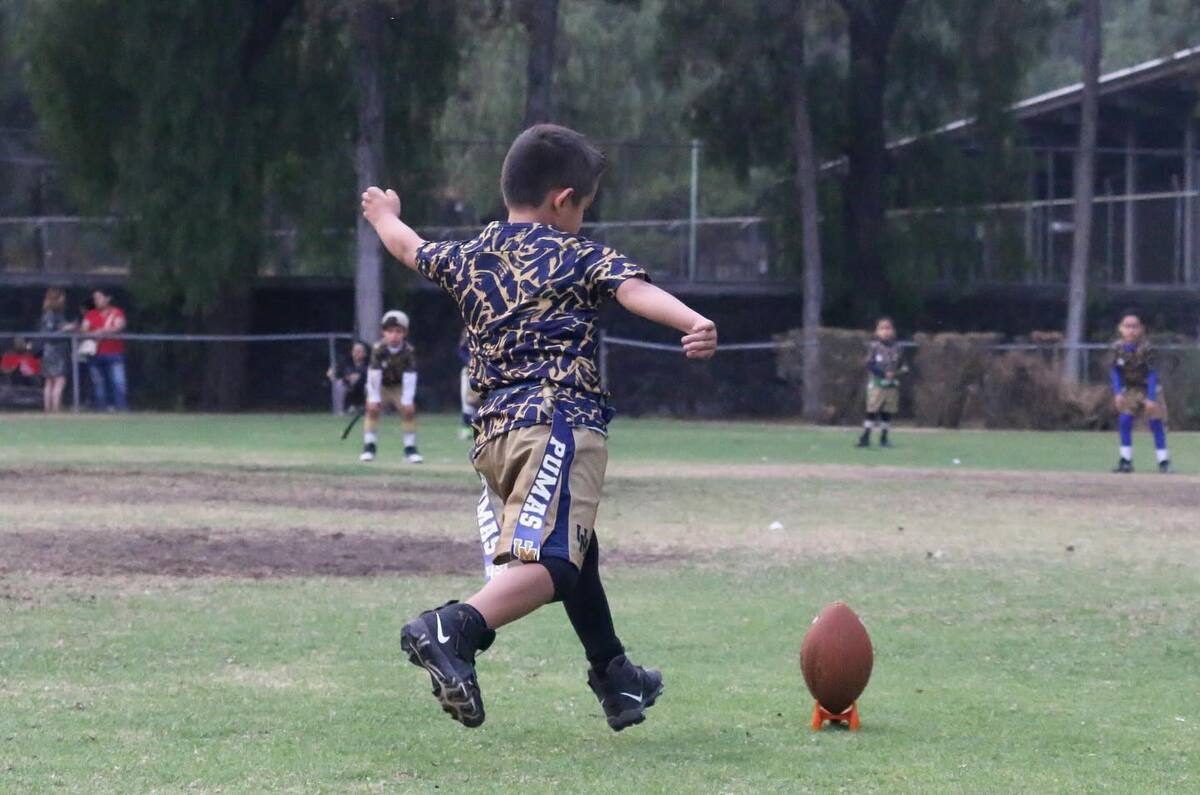 Anota a los peques a los cursos de verano de la UNAM: arte, deporte y más