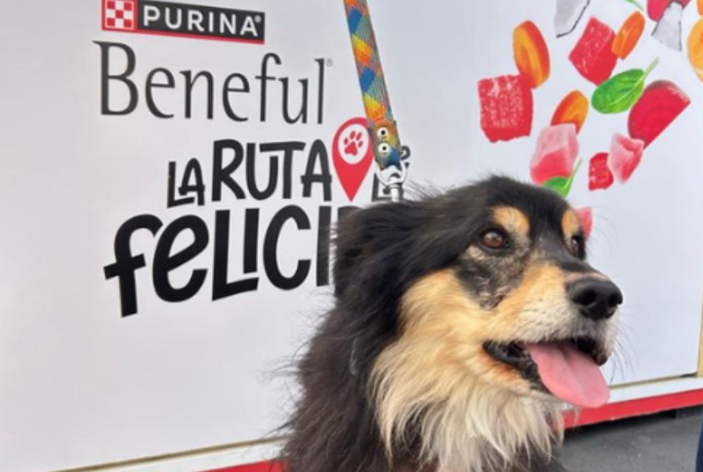 Ruta Beneful