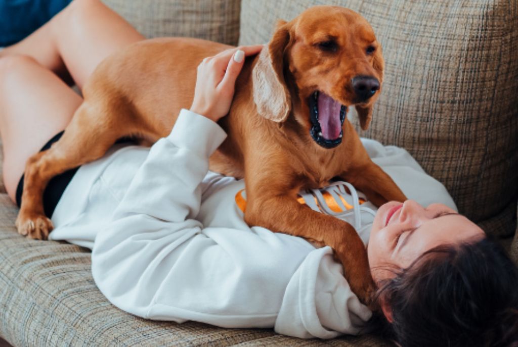 Día del perro juntos con Beneful