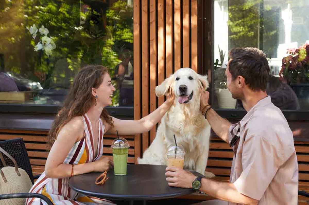 El verano perfecto con tu mejor amigo: OpenTable revela restaurantes pet-friendly en México
