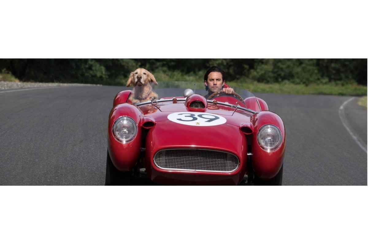 f1-y-automovilismo-7