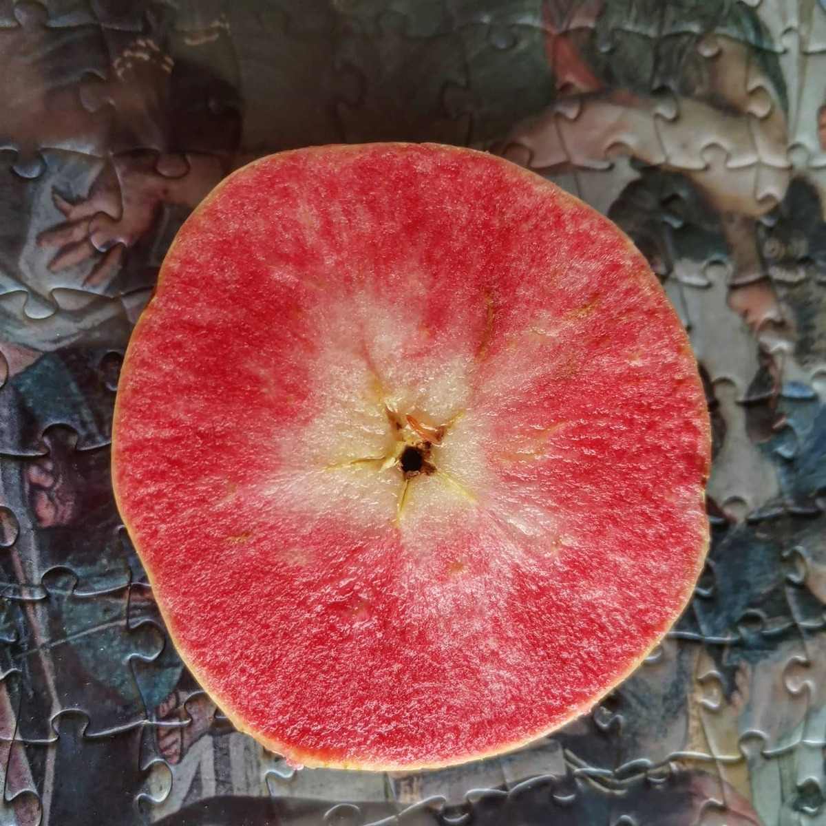 feria-de-la-manzana-cdmx-acaxochitlan–2