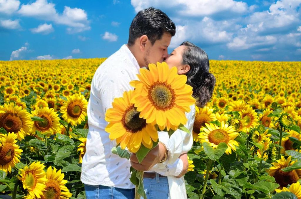 Festival Entre Girasoles santuario Santum evento en Tlaxcala-CDMX