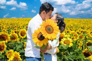 Festival Entre Girasoles ¡Una experiencia de flores por $150 pesos!
