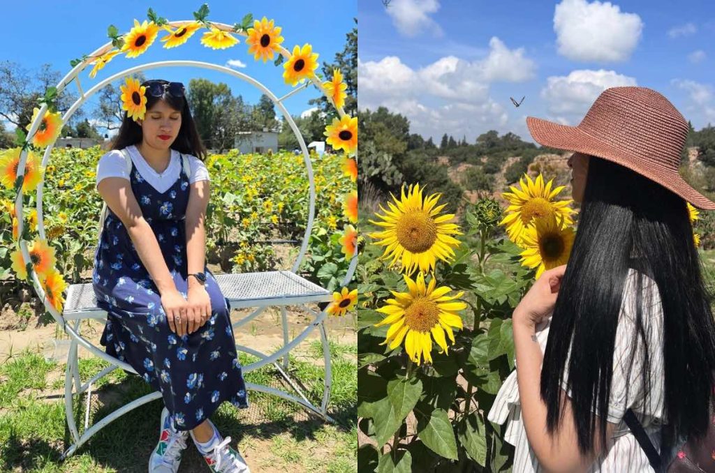 Festival Entre Girasoles santuario Santum evento en Tlaxcala-CDMX