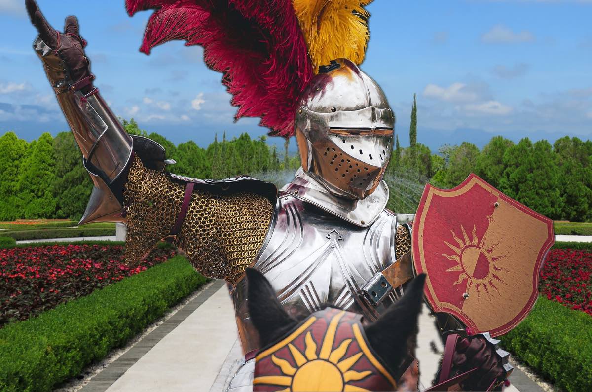 Festival Medieval en Jardines México: ¡Música, combates y más!