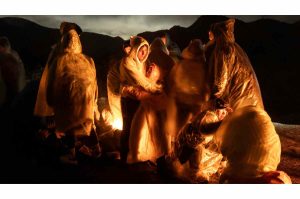 Visita la exposición World Press Photo 2025 por anticipado en la Noche del Franz
