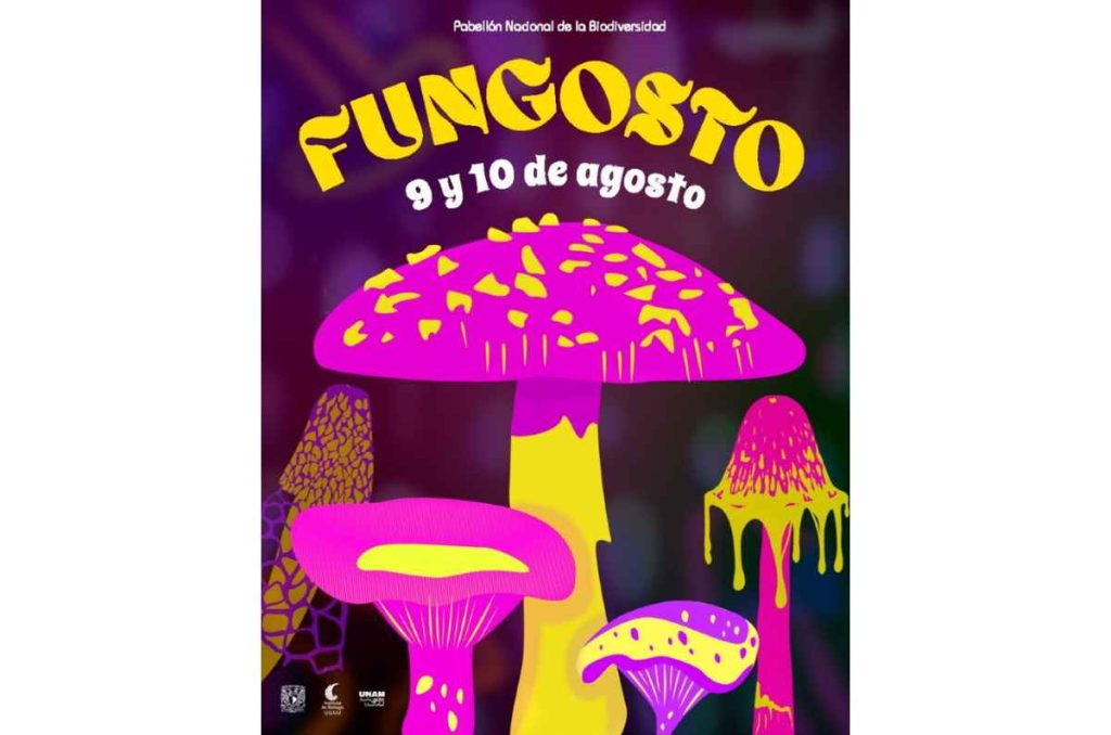¡Anuncian las fechas de El FUNGOSTO! En el PaBio, un plan imperdible de temporada