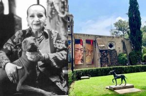 ¡Vuelve un ícono de Xochimilco! El Museo Dolores Olmedo reabrirá sus puertas en 2026