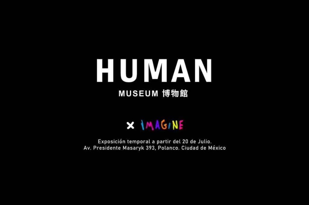 IMAGINE, la exposición japonesa de arte inmersivo llega a Masaryk