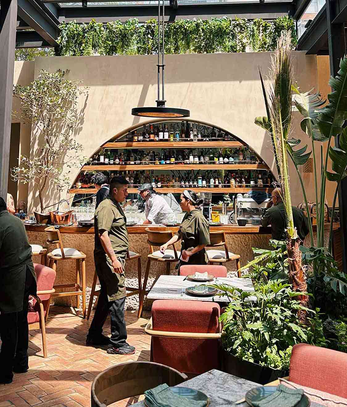 jardin-horacio-12