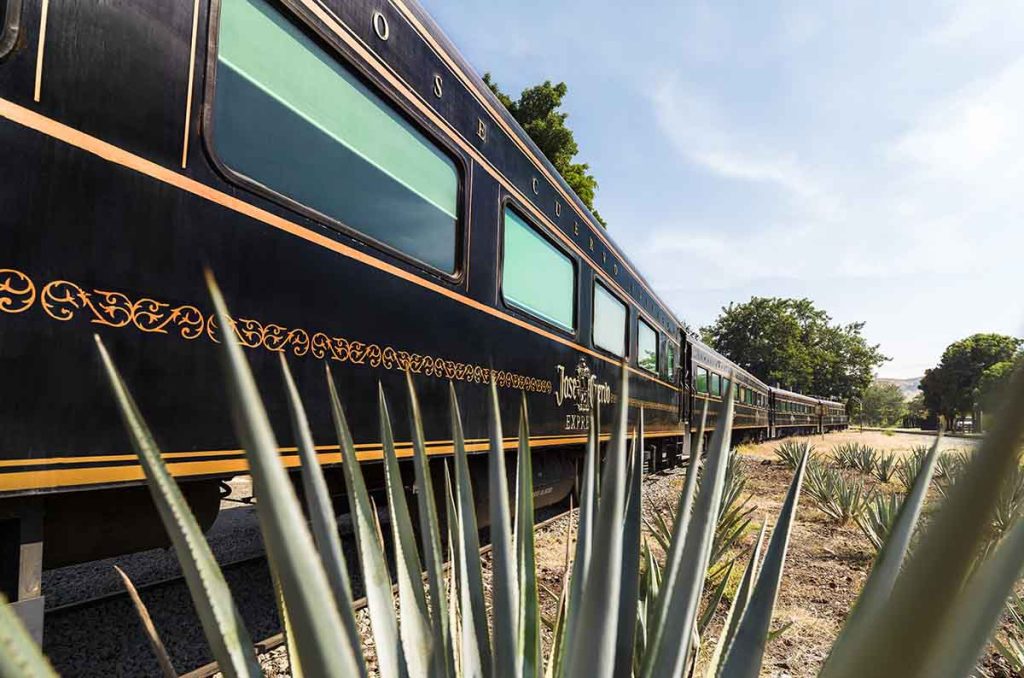 El Jose Cuervo Express ofrece una promoción de verano: paga tres boletos y lleva cuatro en categorías Premium Plus y Express