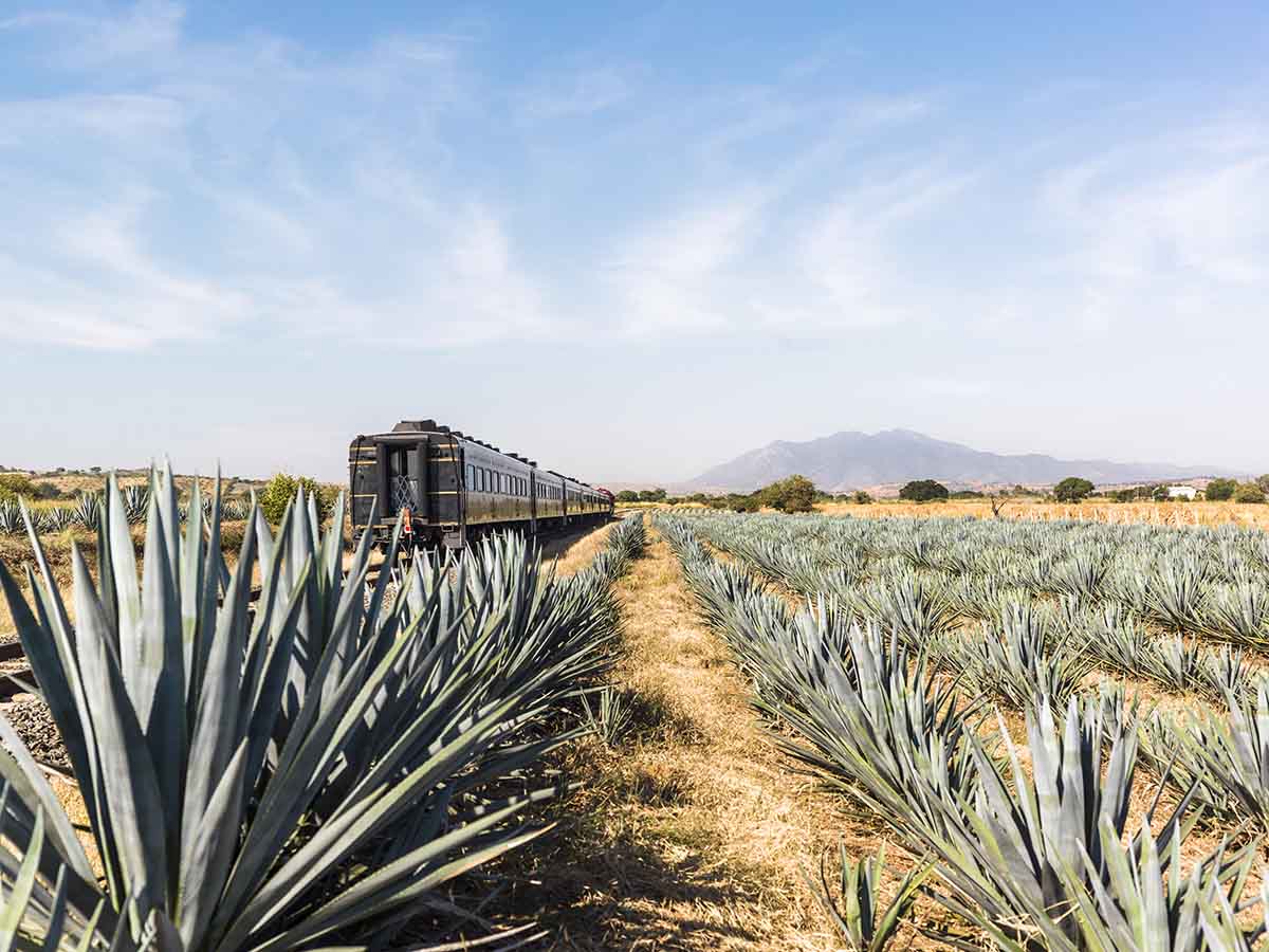 jose-cuervo-express-1