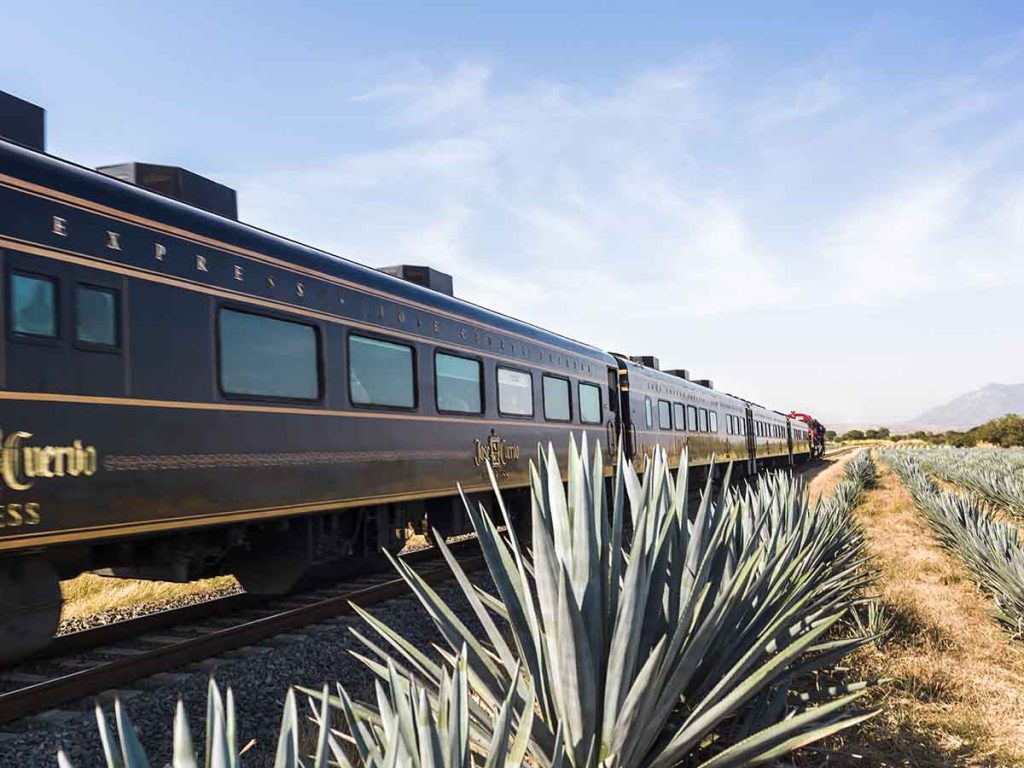 El Jose Cuervo Express ofrece una promoción de verano: paga tres boletos y lleva cuatro en categorías Premium Plus y Express