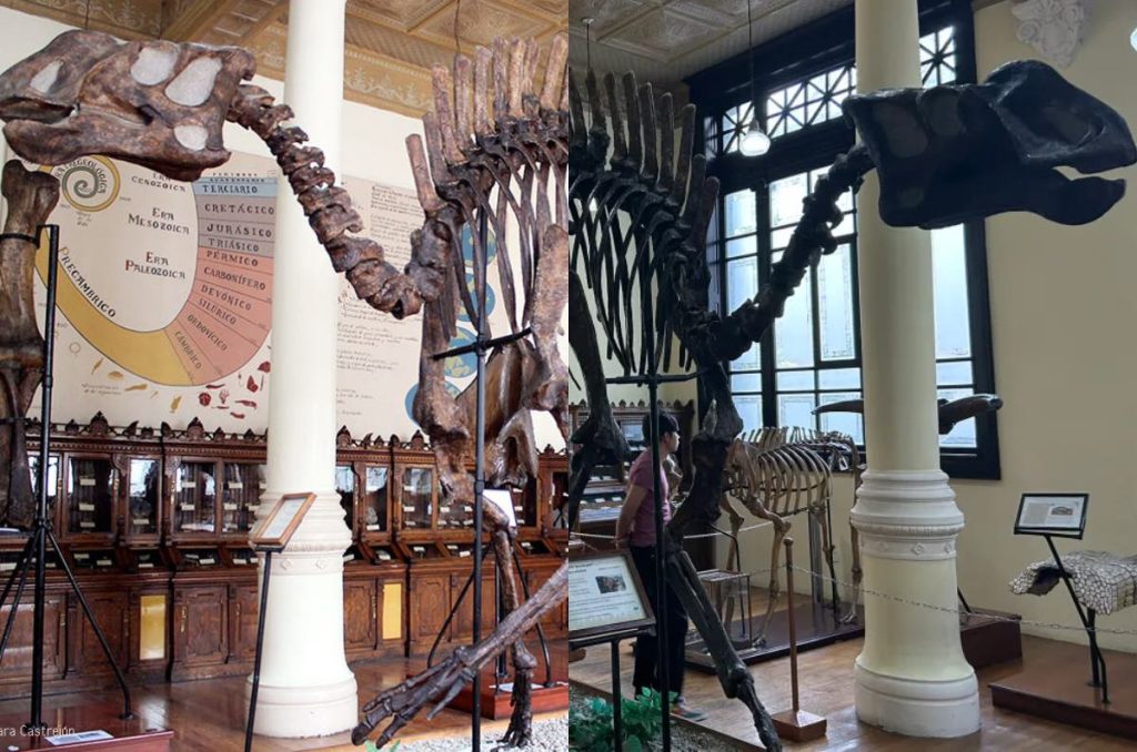 Jurassic World Lugares temáticos de Dinosaurios que visitar en CDMX