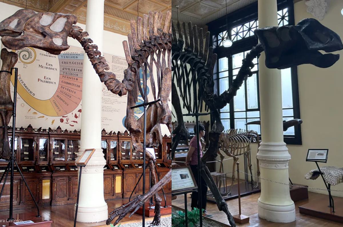 jurassic-world-lugares-tematicos-de-dinosaurios-que-visitar-en-cdmx-museo-de-geologia